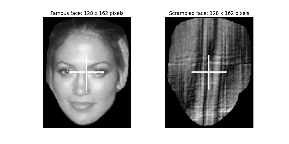 Famous face: 128 x 162 pixels, Scrambled face: 128 x 162 pixels
