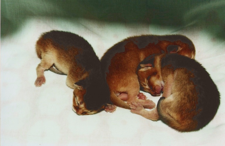 We're just 2 days old