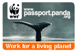 Logo: Panda.org