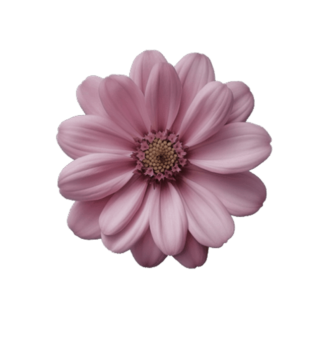 florescence website logo