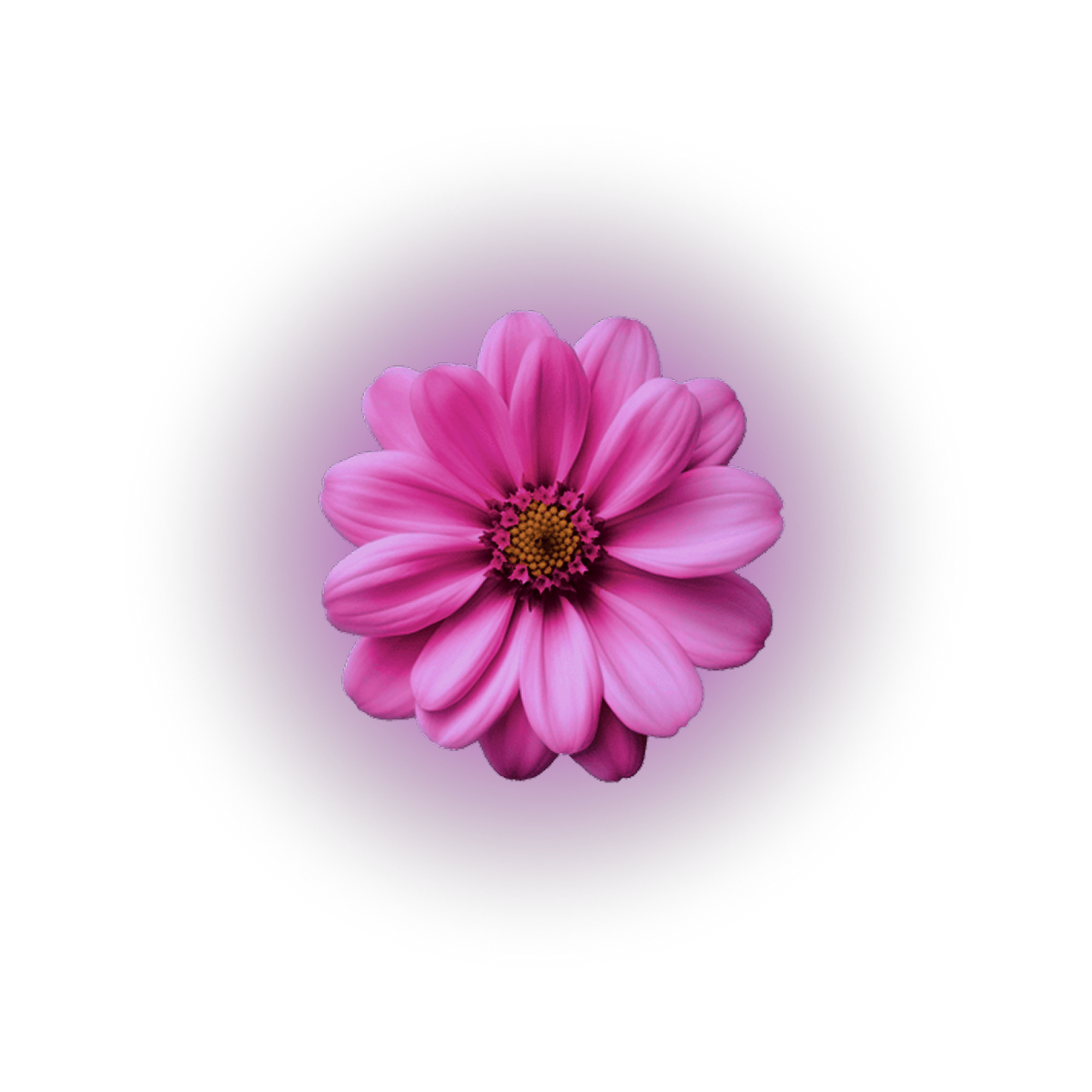 flower vibrant glow