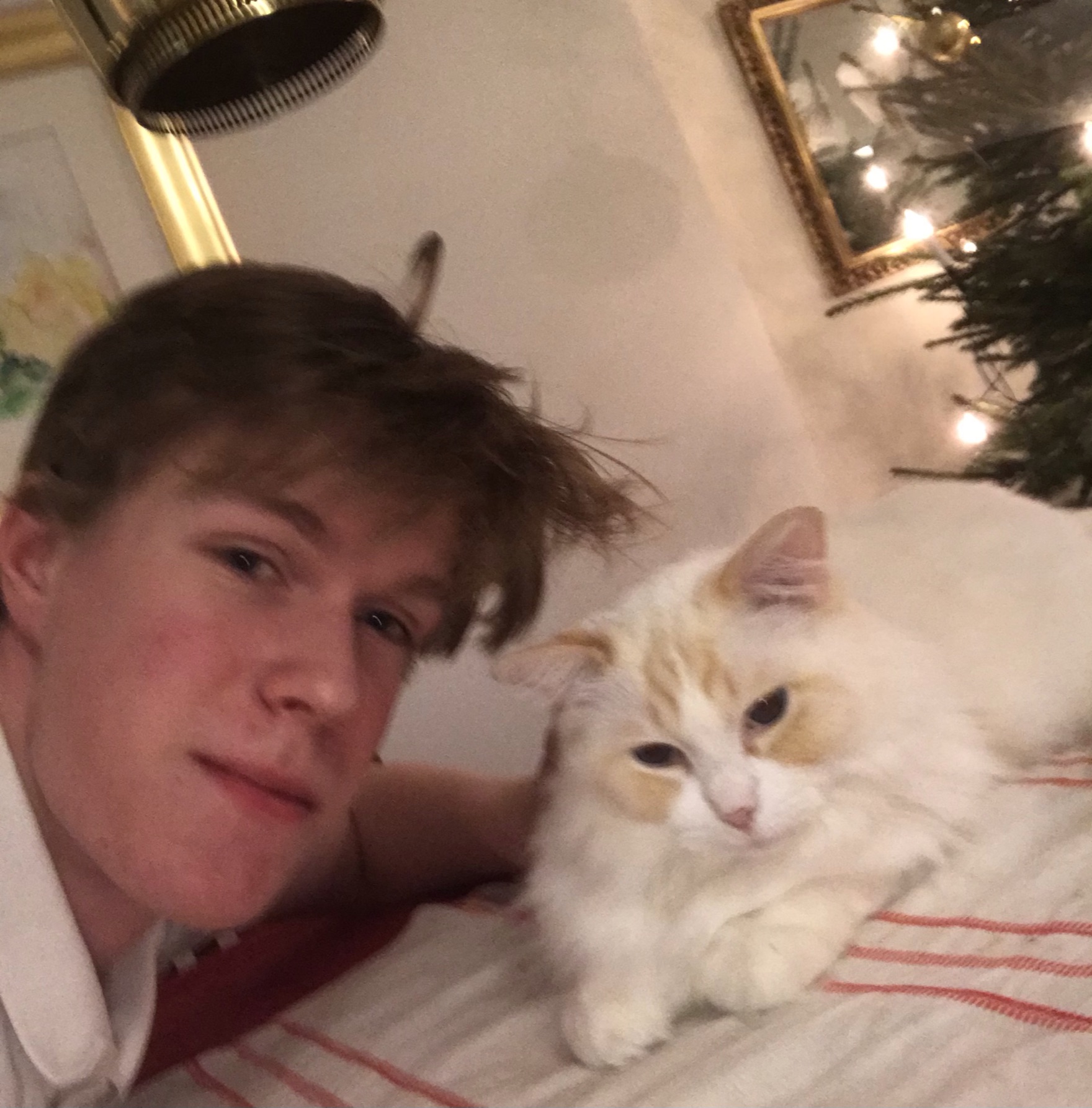 Picture of Tapio Tuloisela and his cat